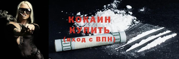 дмт Лиски