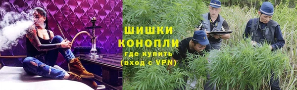 дмт Лиски